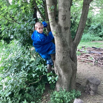 Willows Forest School April 2025